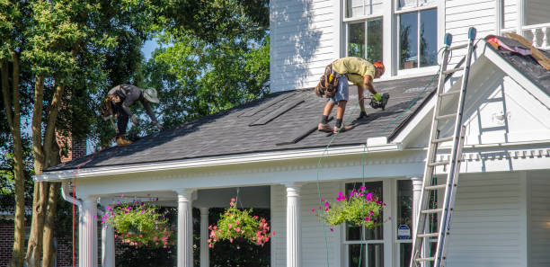 Best Roof Gutter Cleaning  in Shoshone, ID